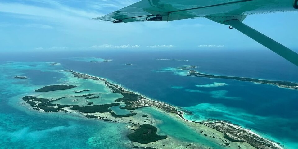 culture criollo travel tour avocado