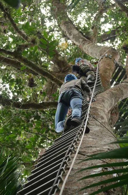 criollo travel rain forest venezuela