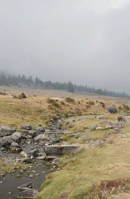 paramo criollo travel venezuela