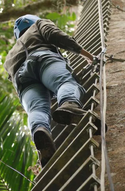 rain forest venezuela criollo travel