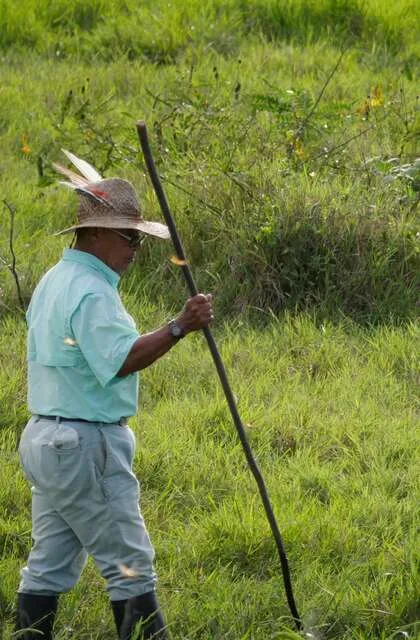 ranger llanos criollo travel venezuela culture latin america travel