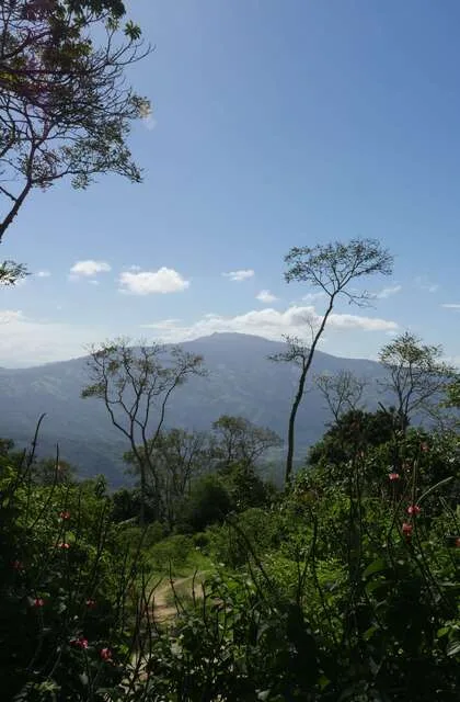 safe travel to venezuela culture mountains criollo latin america travel