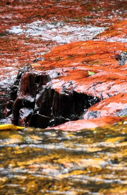 trip to venezuela travel criollo la gran sabana travel