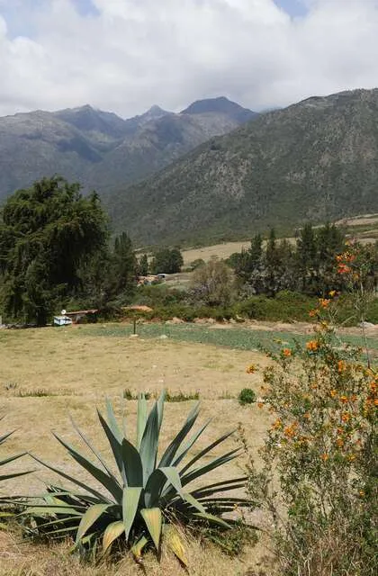 valley venezuela criollo travel