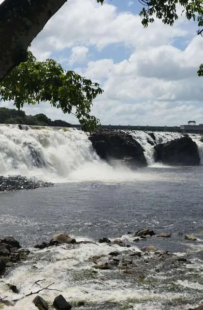 venezuela criollo travel orinoco