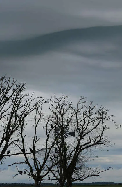 venezuela tour packages llano criollo venezuela travel