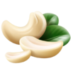 criollo travel bocado cashew
