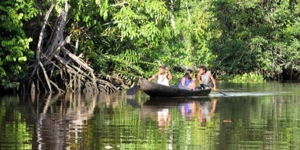 culture criollo travel venezuela bocado moriche orinoco delta