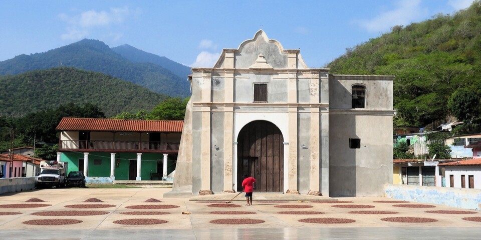 culture criollo travel venezuela bocado papaya chuao cacao trocknung