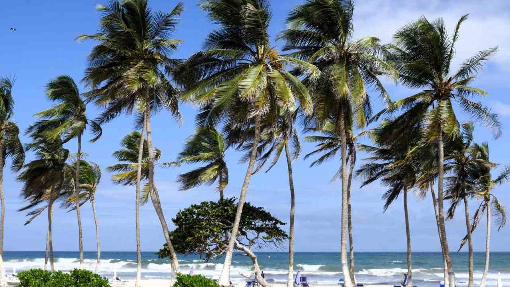 criollo travel venezuela isla de margarita playa el agua