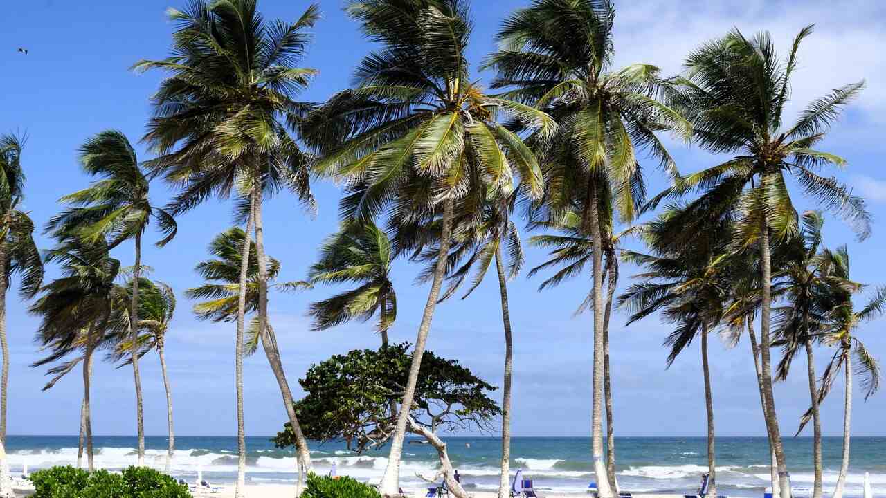 criollo travel venezuela isla de margarita playa el agua