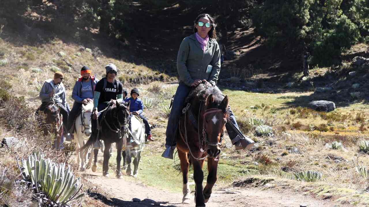 criollo travel merida west
