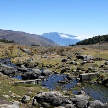 criollo travel venezuela merida lagoon paramo