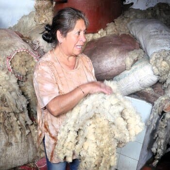 criollo travel venezuela merida women project
