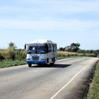 bus roas llanos portuguesa