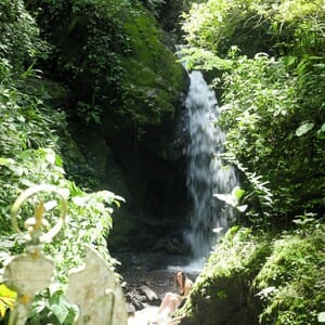 coffee plantation waterfall