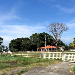 llanos hato entrada