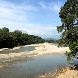 llanos rio portuguesa