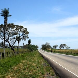 llanos road venezuela