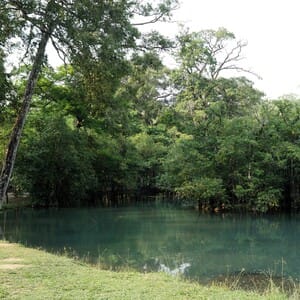 los arroyos venezuela