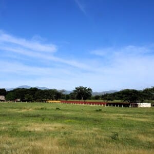 portuguesa llanos hato