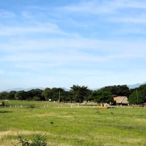 portuguesa venezuela llanos