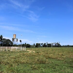 venezuela llanos portuguesa