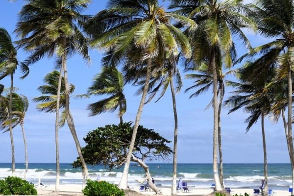 culture criollo travel venezuela bocado coco isla de margarita playa el agua